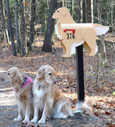 Golden Retriever mailbox with customers!