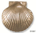 Scallop DOor Knocker Brushed nickel and polished chrome