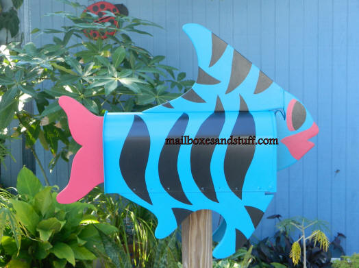 beautiful Striped Tropical fish , caribbean blue, hot pink and black