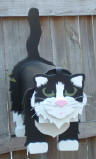Fluffy Cat mailbox ... Sasha