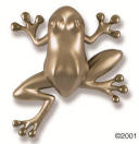 Brass Frog Door Knocker in brushed nickel and polished chrome