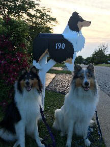 Collie Mailbox with happy customers